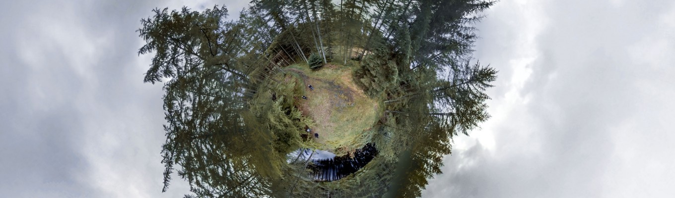 forest4